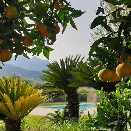 Terra Vitale Cava deʼ Tirreni Exterior foto