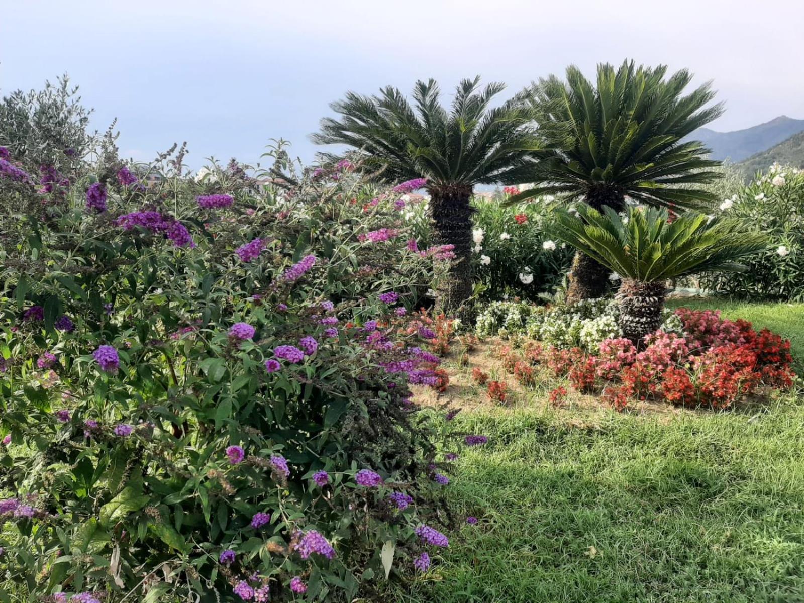Terra Vitale Cava deʼ Tirreni Exterior foto